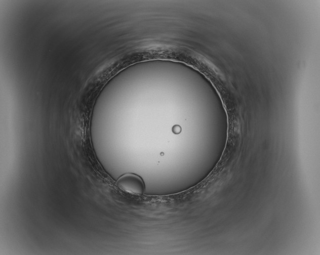 X0000114190869200910161202