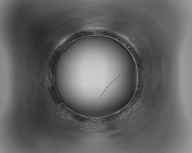 X0000114190871200910161202