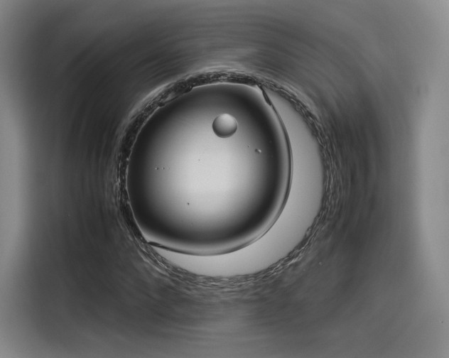 X0000114190872200910161202
