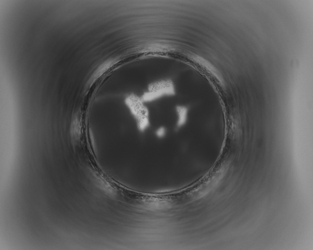 X0000114190874200910161202