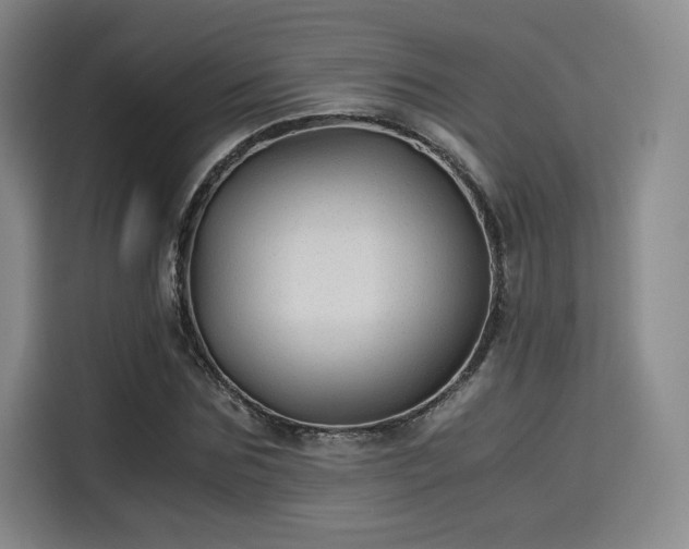 X0000114190875200910161202
