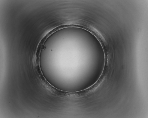 X0000114190876200910161202