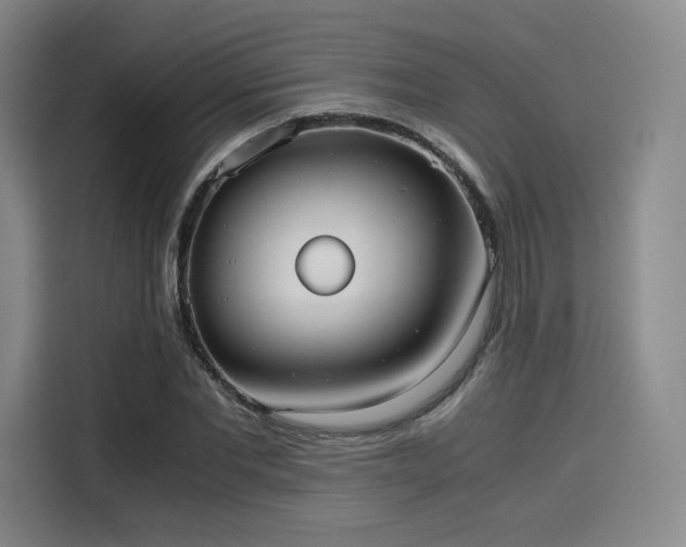 X0000114190877200910161202