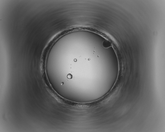X0000114190878200910161202