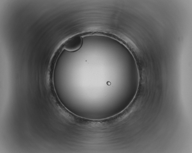 X0000114190880200910161202
