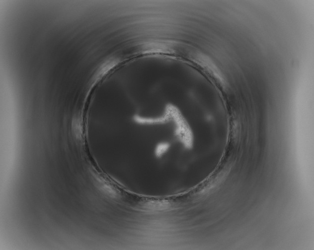 X0000114190882200910161202