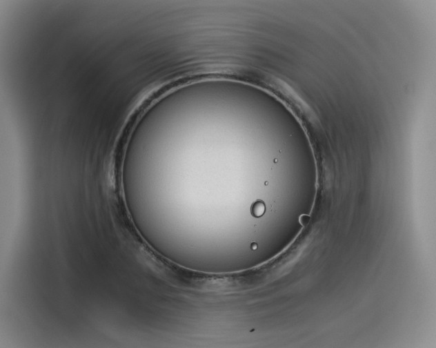 X0000114190883200910161202