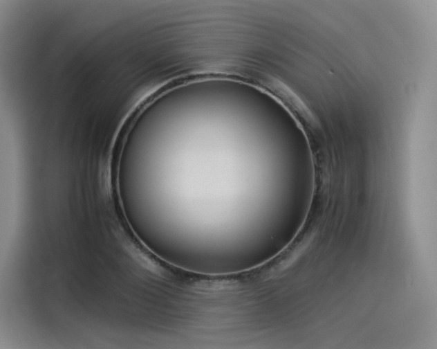 X0000114190884200910161202