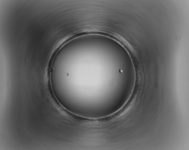 X0000114190885200910161202