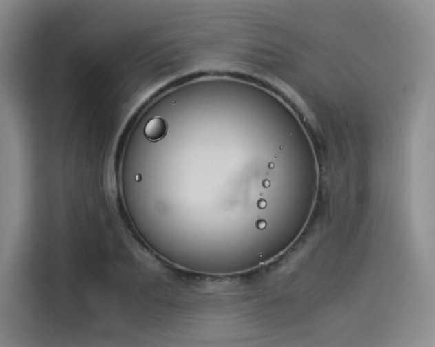 X0000114190887200910161202