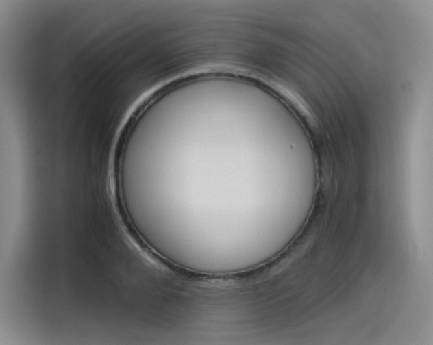 X0000114190888200910161202