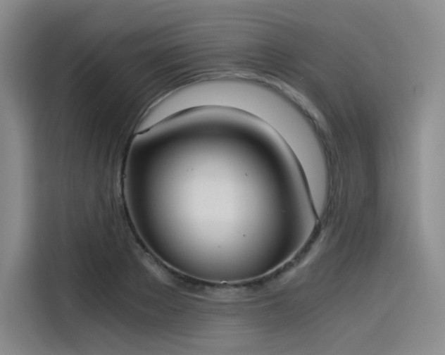 X0000114190889200910161202