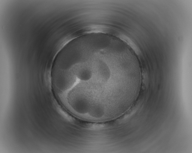 X0000114190890200910161202