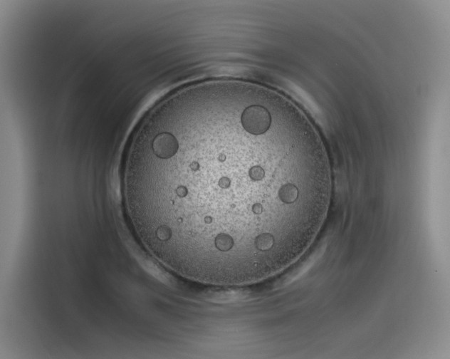 X0000114190891200910161202