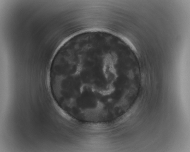 X0000114190895200910161202