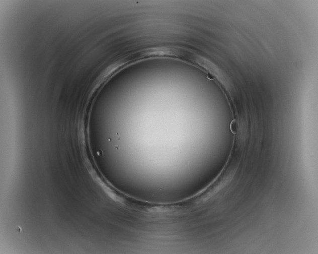 X0000114190898200910161202