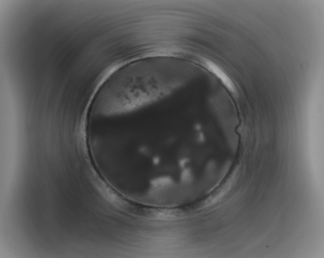 X0000114190899200910161202