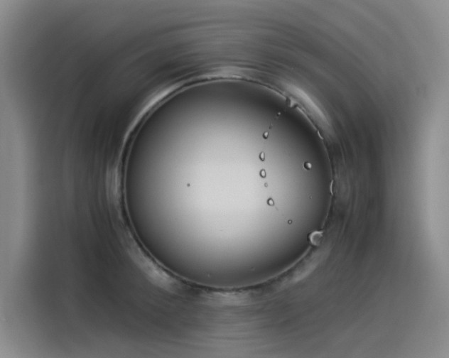 X0000114190900200910161202