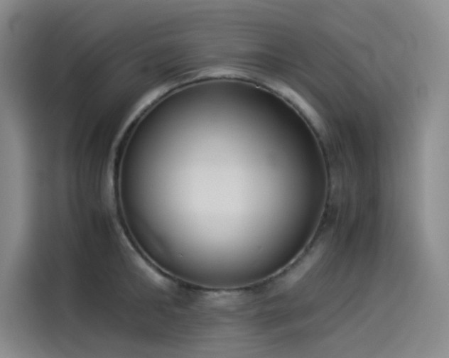 X0000114190902200910161202