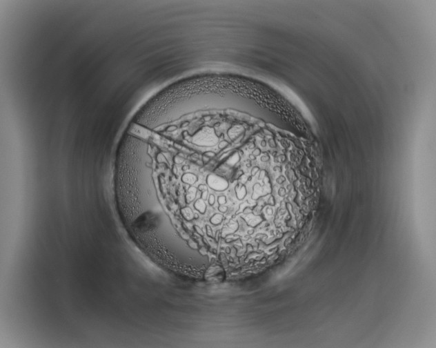 X0000114190903200910161202