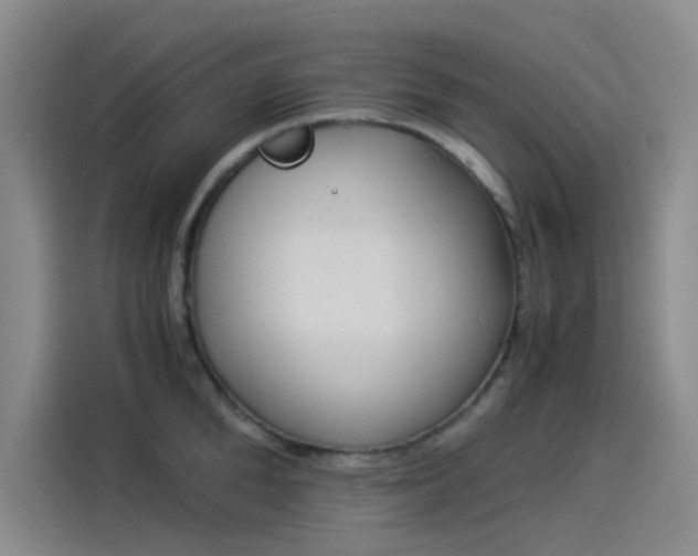X0000114190904200910161202