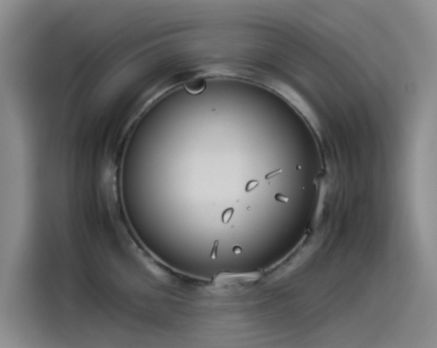 X0000114190906200910161202