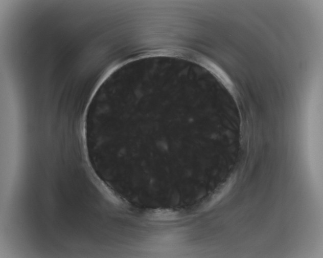 X0000114190907200910161202