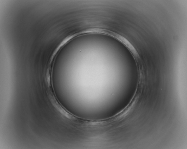 X0000114190908200910161202