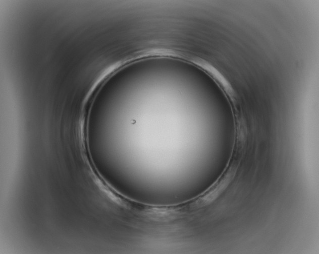 X0000114190910200910161202