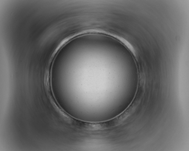X0000114190911200910161202
