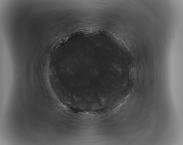 X0000114190913200910161201
