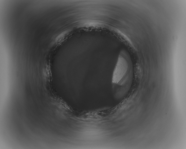 X0000114190918200910161201