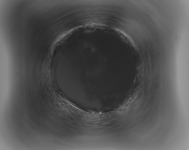 X0000114190919200910161201