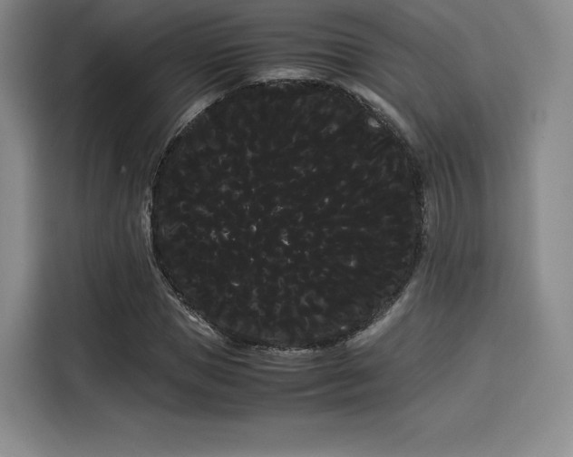 X0000114190921200910161201