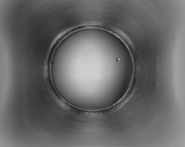 X0000114190928200910161201