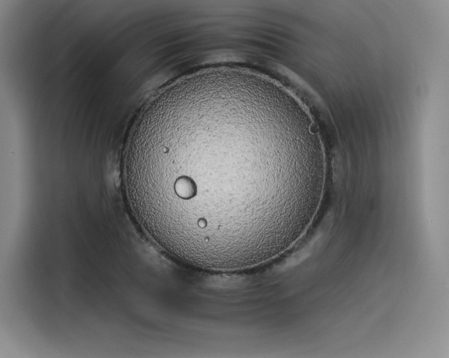 X0000114190929200910161201