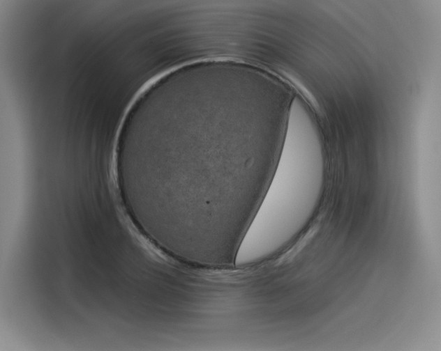 X0000114190932200910161201