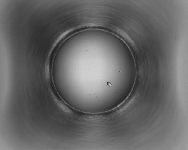 X0000114190934200910161201