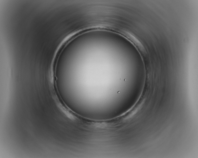 X0000114190940200910161201