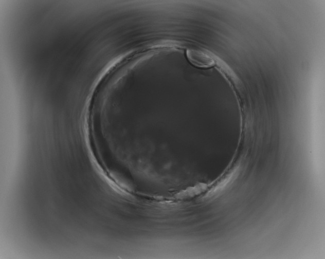 X0000114190941200910161201