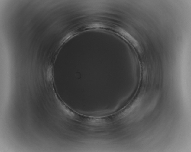 X0000114190945200910161201