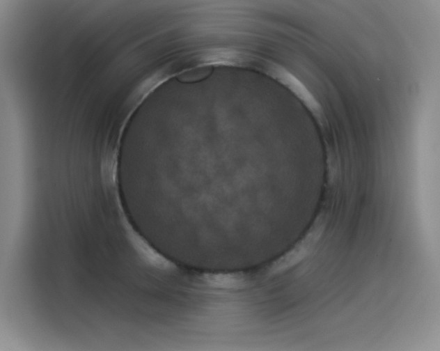 X0000114190946200910161201
