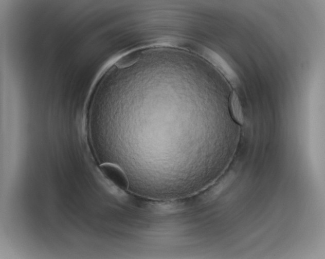 X0000114190948200910161201