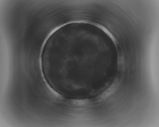 X0000114190951200910161202