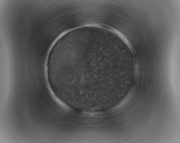 X0000114190955200910161202