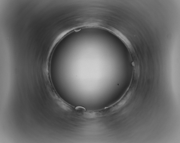 X0000114190956200910161202