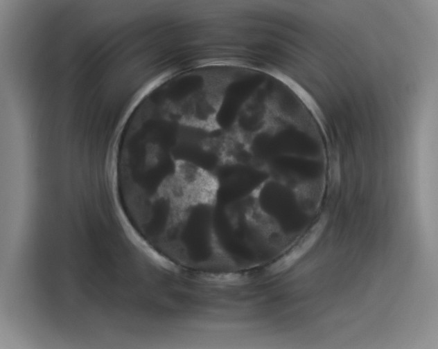 X0000114190957200910161202