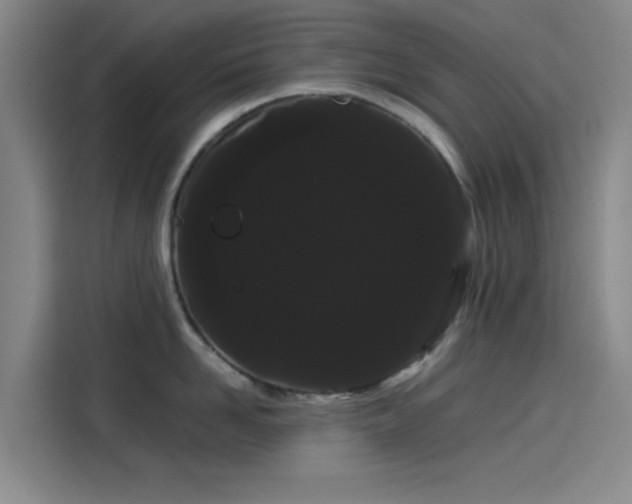 X0000114190958200910161202
