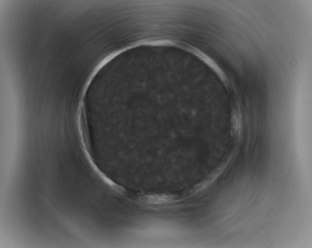 X0000114190959200910161202