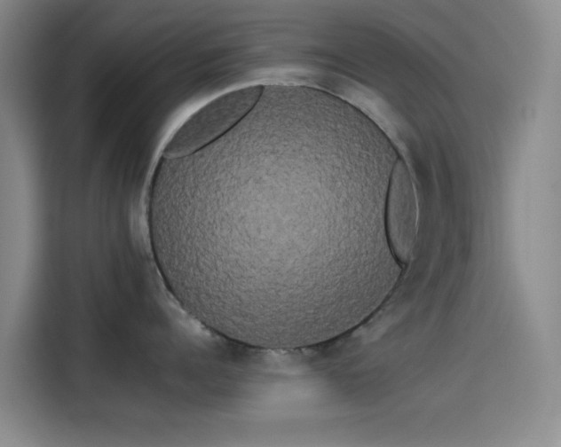 X0000114190960200910161202